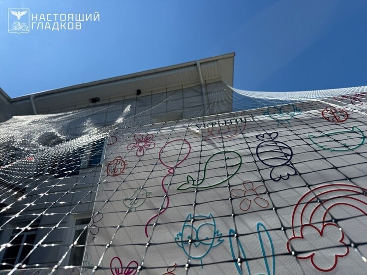 Белгородка пожаловалась на отсутствие антидроновой сетки на школах в Разумном