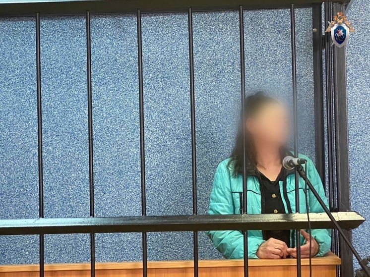 В Смоленской области женщина получила семь лет за убийство собутыльника