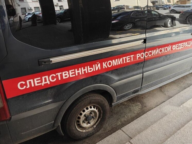Бастрыкин заинтересовался историей с наездом подростка на калининградского пенсионера
