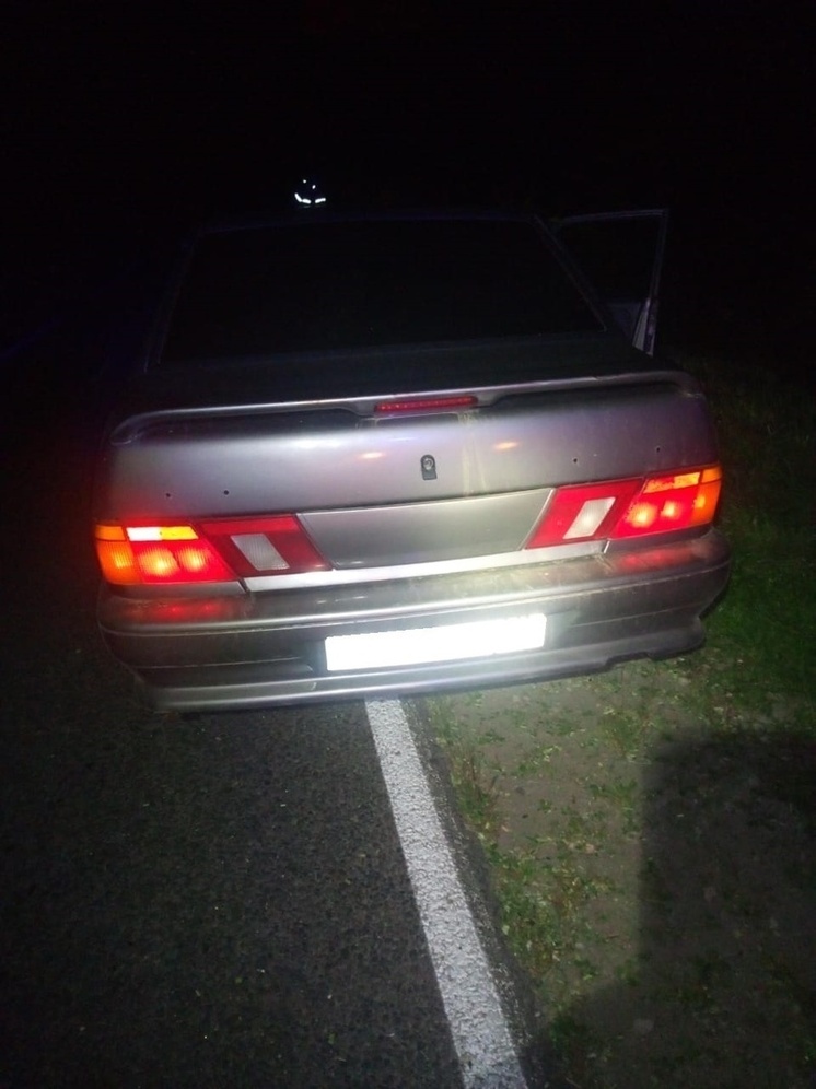 Стало известно, какое животное сбили на калужской трассе