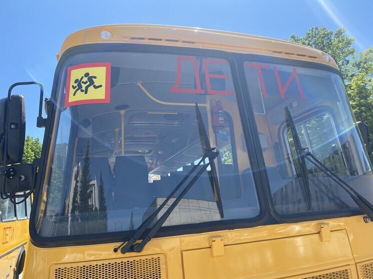 Белгородка попросила найти водителей для школьных автобусов «Большой медведицы»