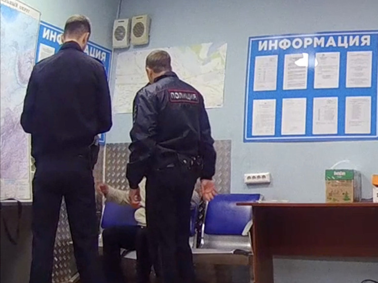 Пьяный новосибирец устроил бунт на борту в Толмачёво