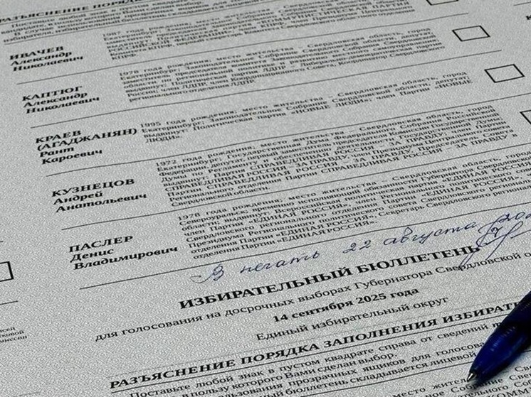 Началось досрочное голосование на выборах главы Свердловской области