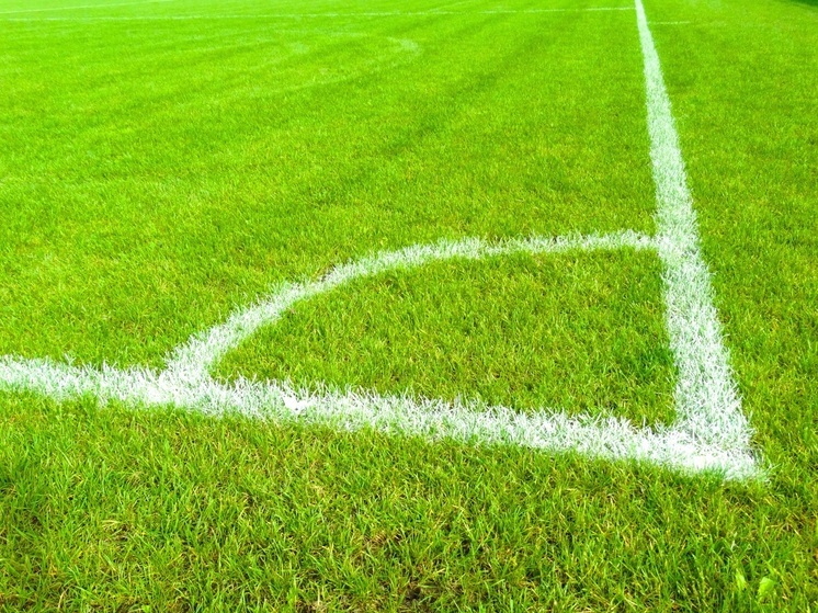 В Калужской области участникам программы «Земский тренер» выплатят по миллиону рублей