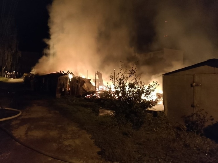 За прошедшие сутки в Калужском регионе ликвидировано семь пожаров