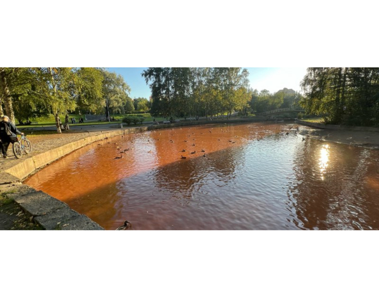 Вода в реке, протекающей через петрозаводский парк, приобрела оттенок ржавчины