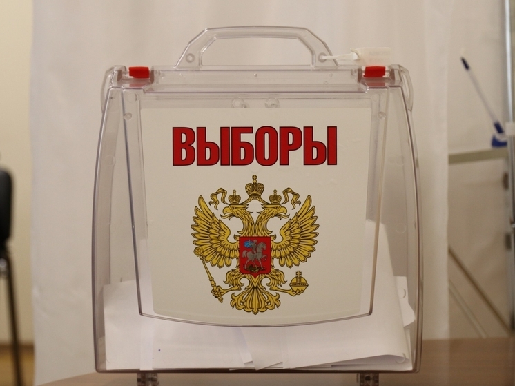 Волонтеры помогут тамбовским избирателям на выборах