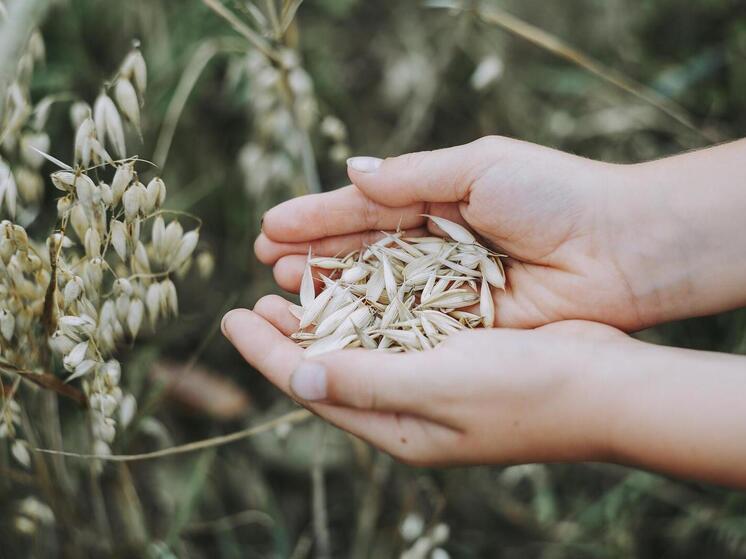 Синоптики 8 сентября обещают в Смоленске облачную с прояснениями погоду