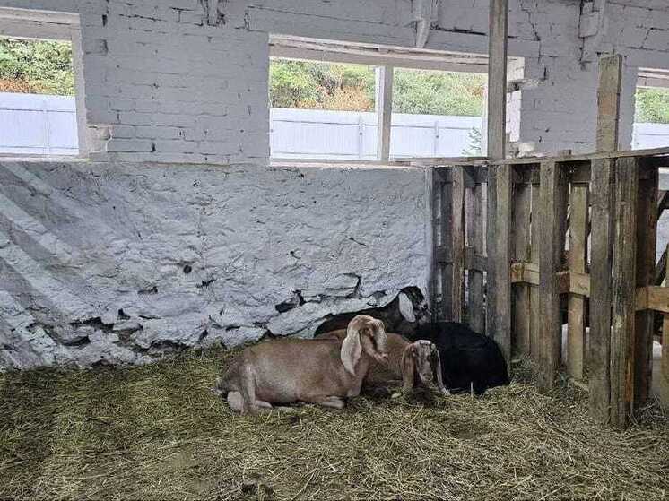 На Ставрополье открылась новая экоферма