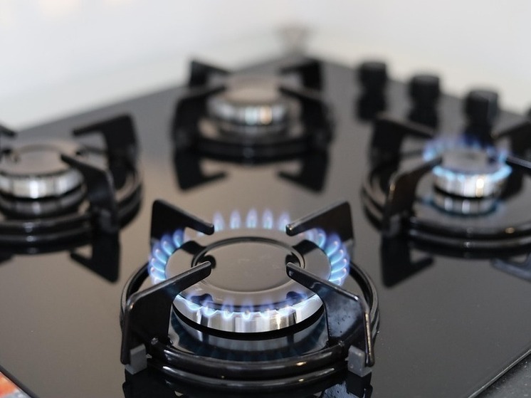 Гусев и Нетесов поздравили воронежских нефтегазовиков с профессиональным праздником