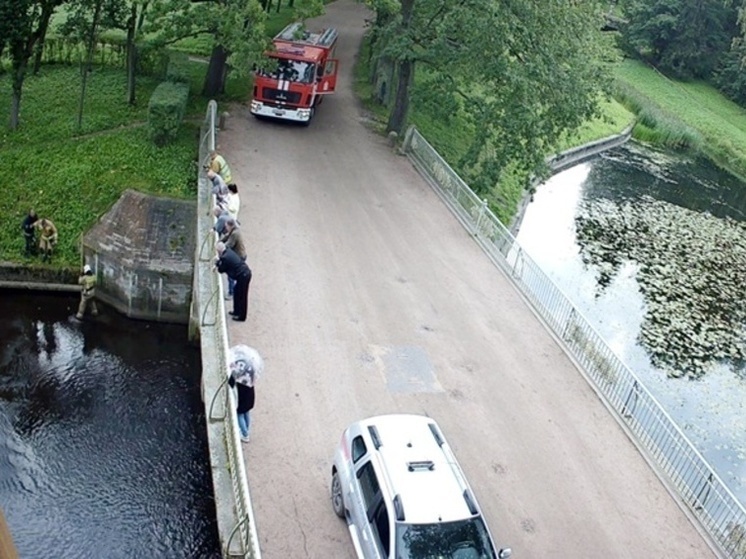 В Павловском парке спасли енота, застрявшего в реке