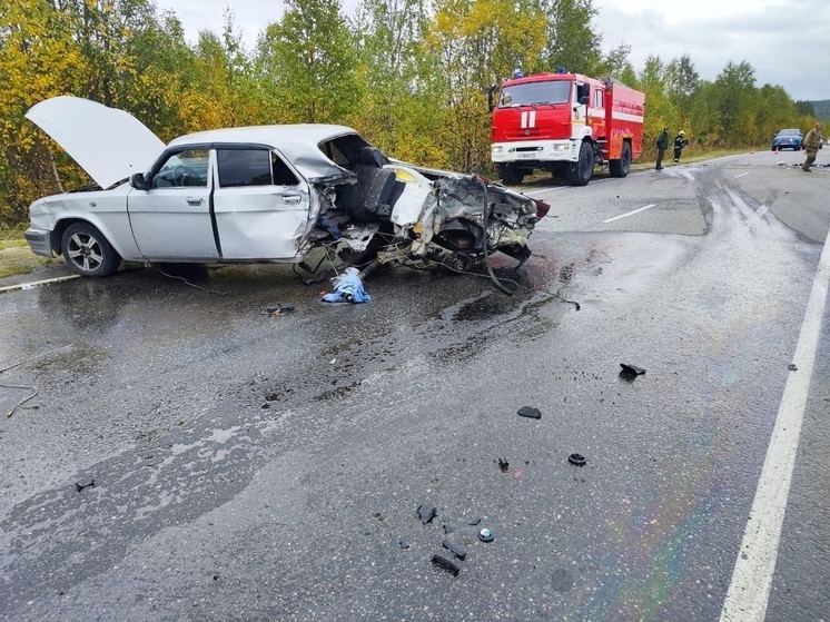 Под Ковдором два человека пострадали в лобовом ДТП