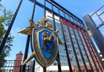 Глава Следственного комитета России Александра Бастрыкин поручил руководителю Следственного управления СКР по Свердловской области Богдану Францишко доложить о ходе проверки по информации о травмировании ребенка