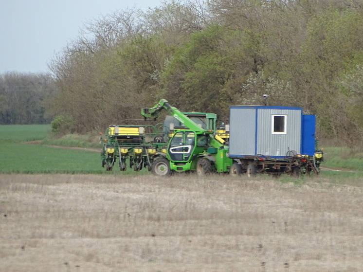 Аграрии Ставрополья приступили к осеннему севу рапса