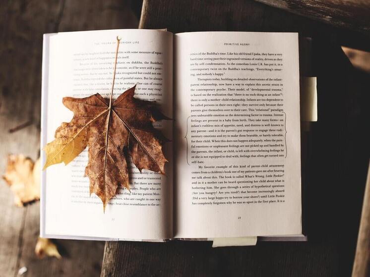 В самом сердце Петрозаводска сегодня последний день работает книжная ярмарка