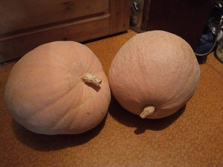 Что делать из тыквы