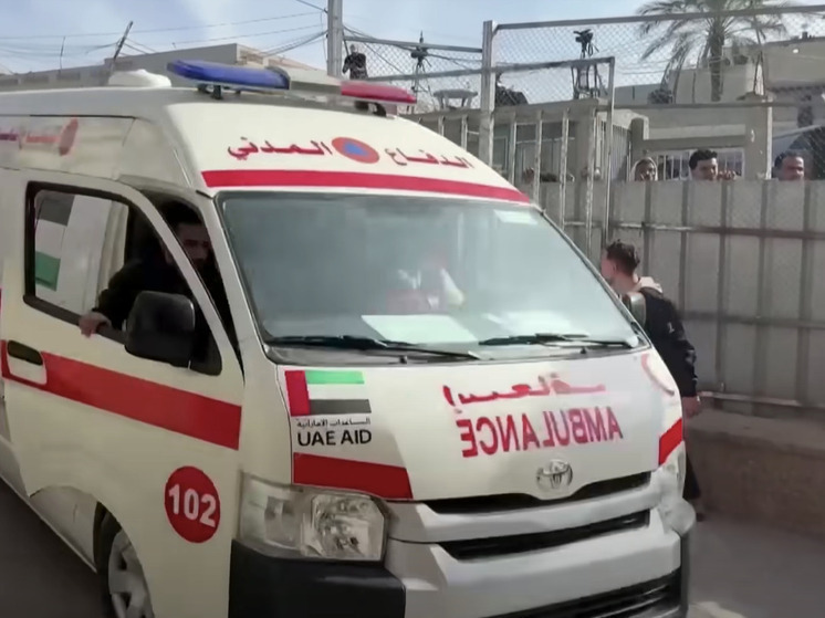 Движение ХАМАС поддержало инициативы по прекращению войны и обмену заложников