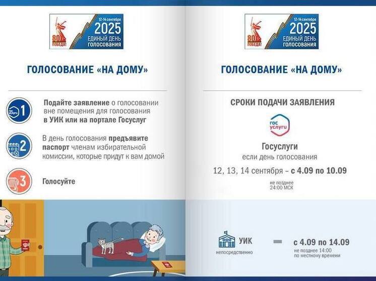 Псковичам напомнили, какие есть уважительные причины для голосования на дому