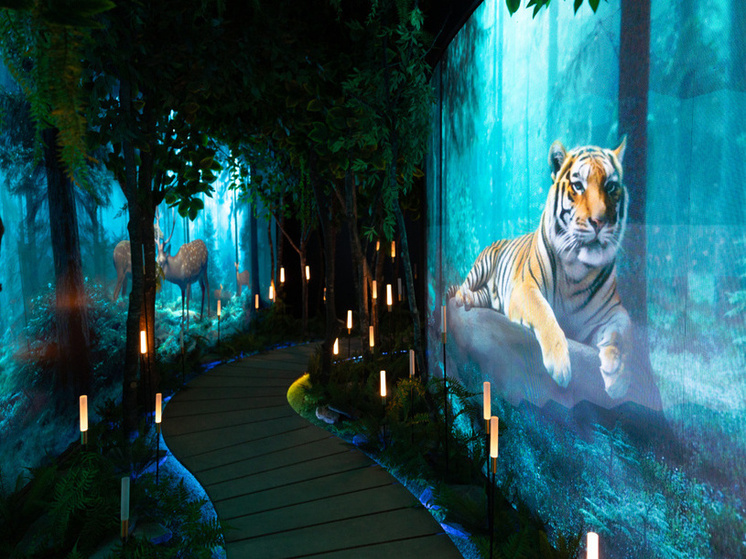 Ева Польна спела на открытии национального центра «Россия» во Владивостоке