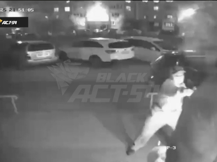 Неизвестный атаковал людей ракетницей и перцовкой в Новосибирске