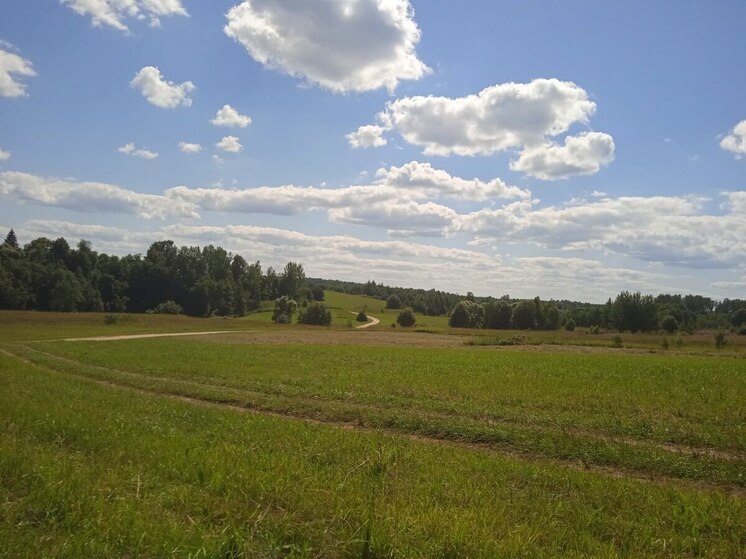 Пропавшего больше месяца назад в Новосибирске 12-летнего мальчика нашли живым