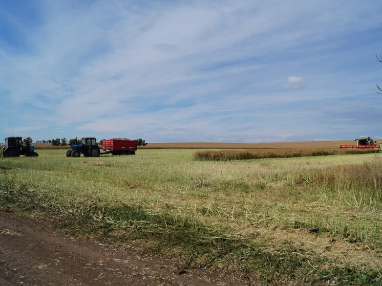 Погода сжалилась над хакасскими аграриями