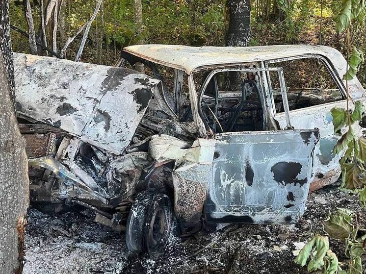 В Маревском округе «Жигули» влетели в дерево, пострадал 25-летний водитель