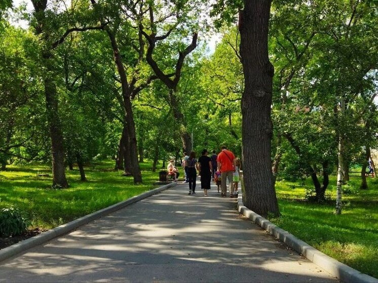 В Саратове создадут рабочую группу для развития городского парка