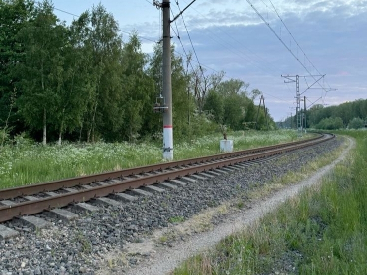 В Ростовской области пассажирский поезд сбил насмерть 23-летнего парня