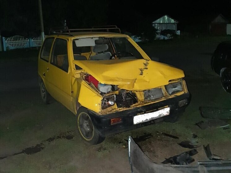 Пенсионер и молодой парень попали в больницу после ДТП в Грибановском районе