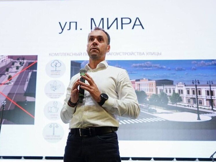 Зеленые насаждения на улице Мира в Вологде сохранят при реконструкции