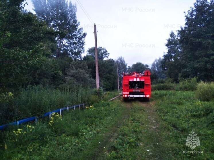 В ДНР за сутки при пожарах едва не погибли два человека