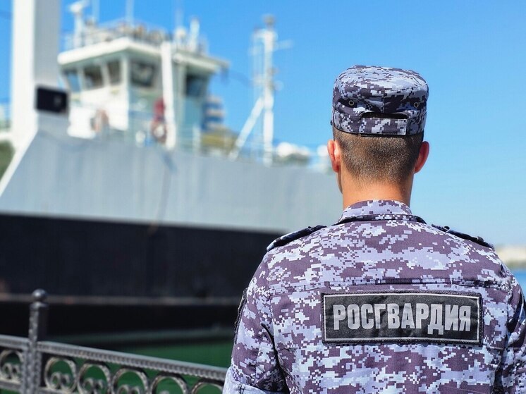 Дважды за неделю росгвардейцы усмирили дебоширов на паромной переправе в Севастополе