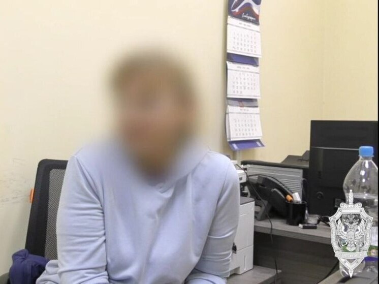Жительница запорожского Приморска задержана за госизмену