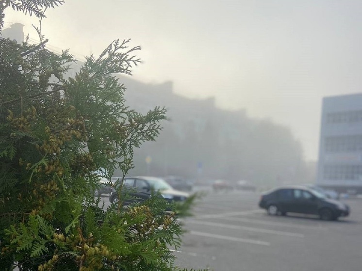 Тишковец: на севере Подмосковья зафиксировали радиационные туманы