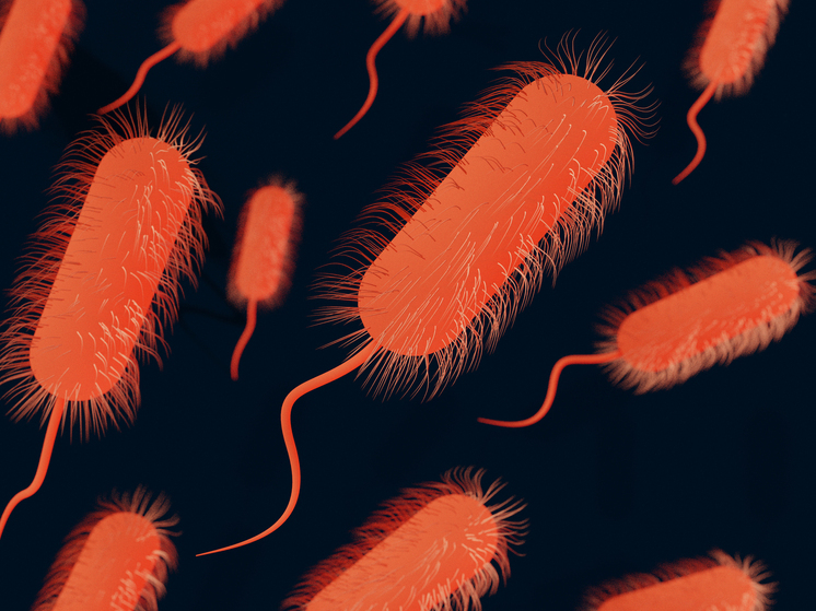 ВОЗ бьёт тревогу: в Африке обнаружена смертельная неизвестная болезнь