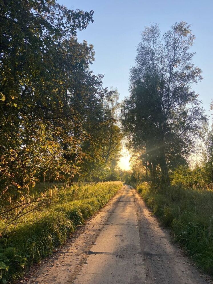 Метеоролог Шувалов: период теплой погоды продлится до середины месяца.