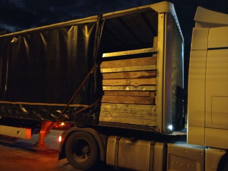 Телята и ягнята бегут из Бурятии без документов