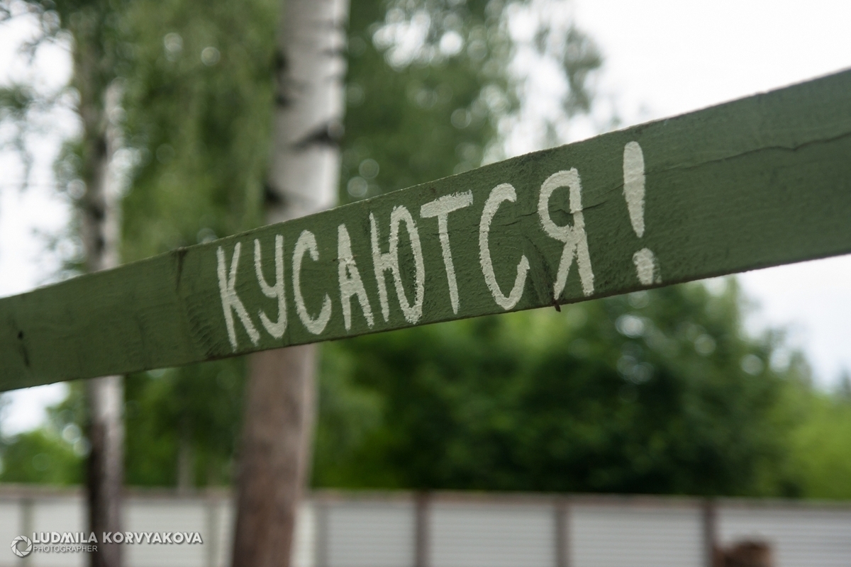 "Zecche in autunno: come proteggersi nella regione della Carelia tra Russia e Finlandia"