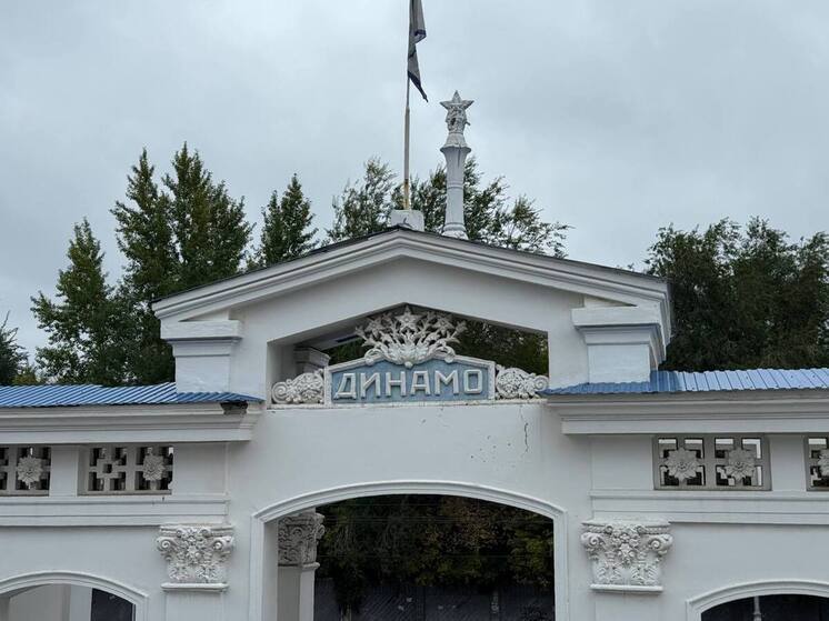 В Самаре начали реконструировать старейший стадион «Динамо»