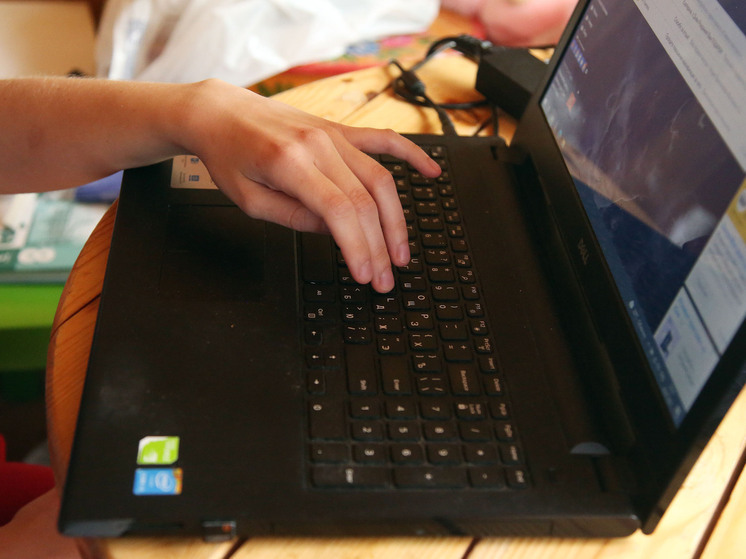 СК взял на контроль дело о мошенницах с сайтов знакомств в Подмосковье