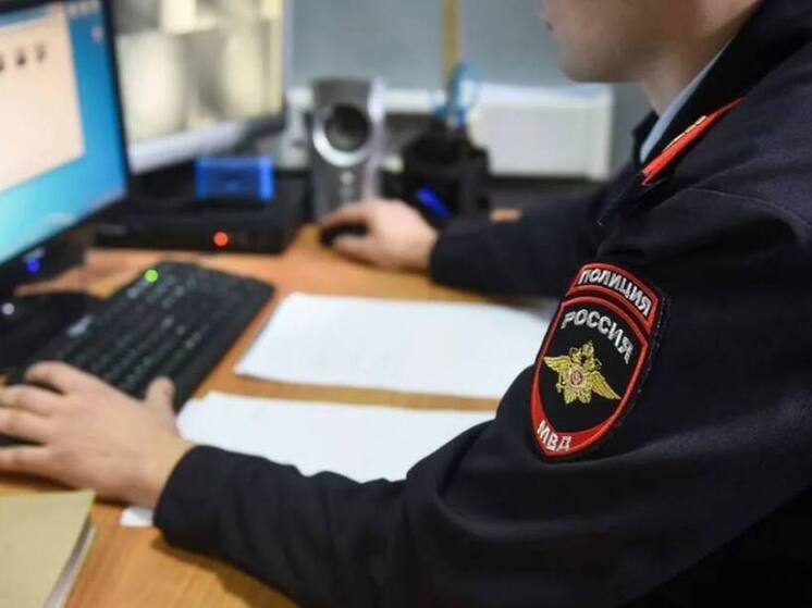 Банду воров-рецидивистов задержали в Нижнем Новгороде