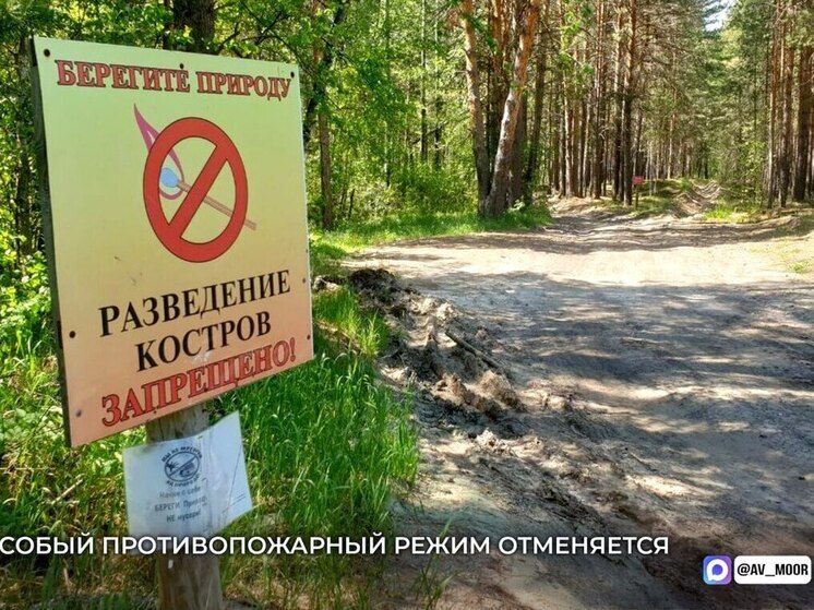 В Тюменской области отменили особый противопожарный режим