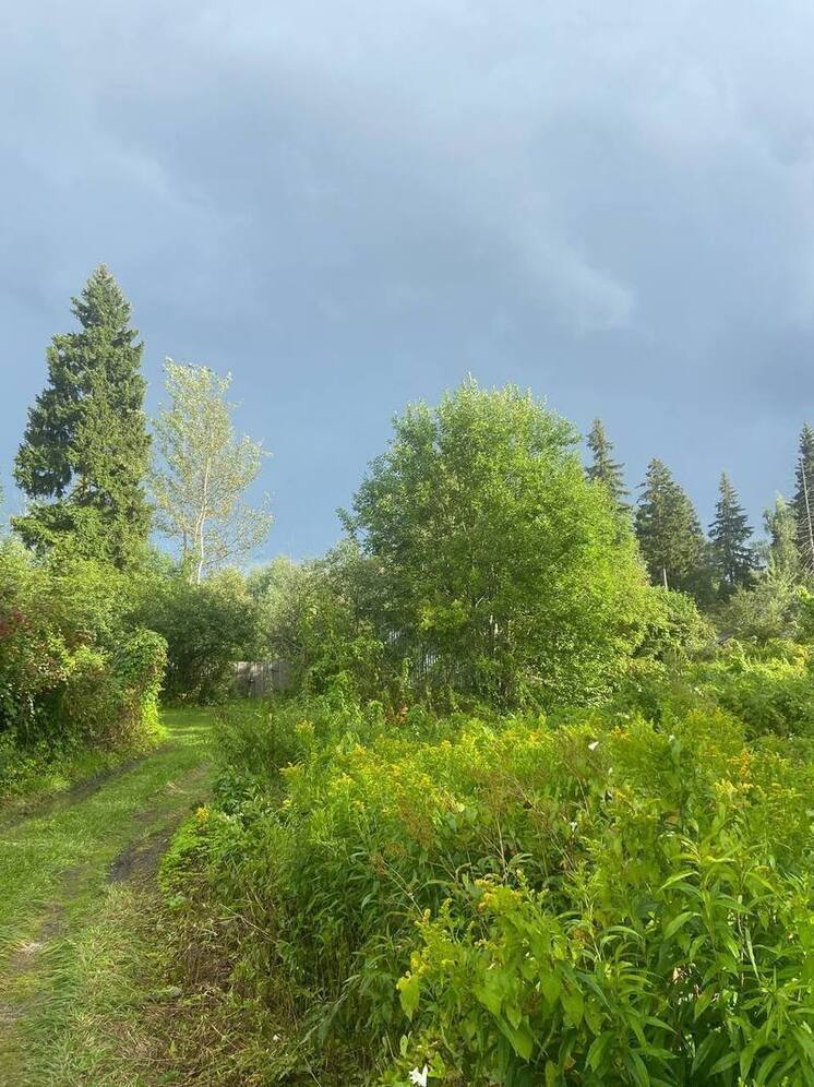 Синоптик Ильин: на следующей неделе жителей столицы ждут осенние ливни