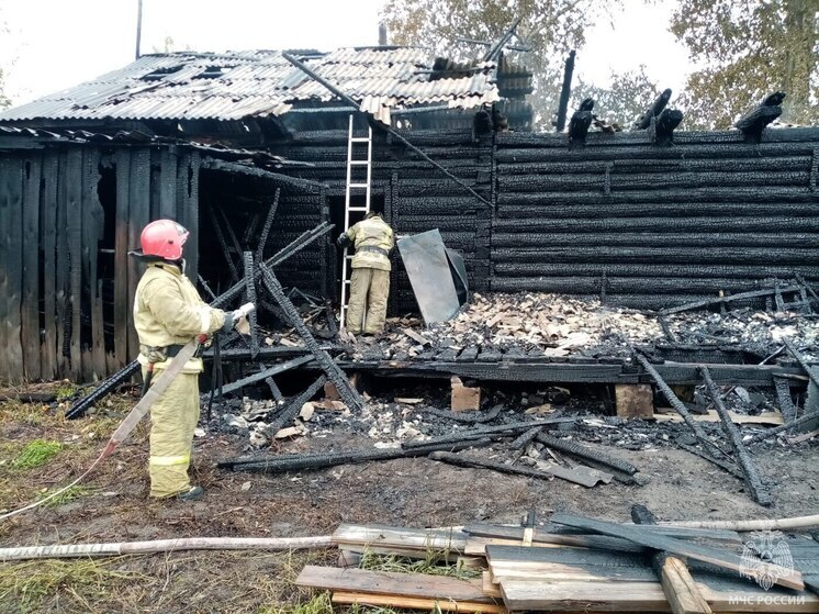 При пожаре в одном из сел Алтайского края погиб мужчина