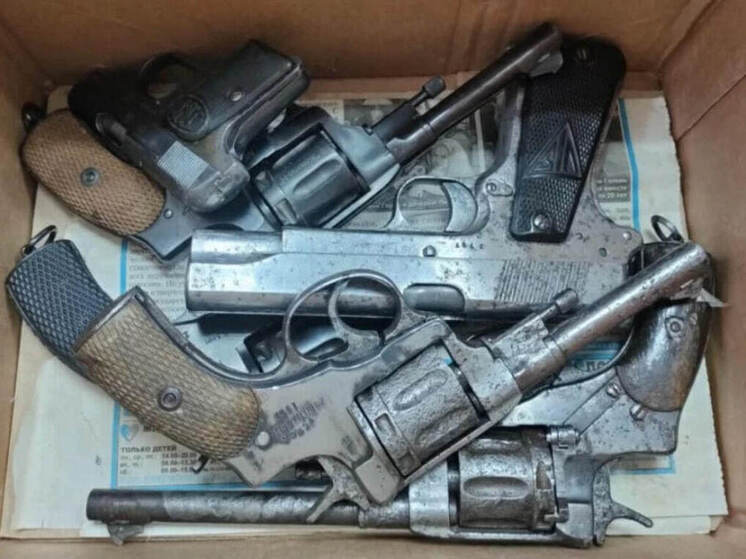 Йошкаролинец незаконно коллекционировал оружие и пойдет за это под суд