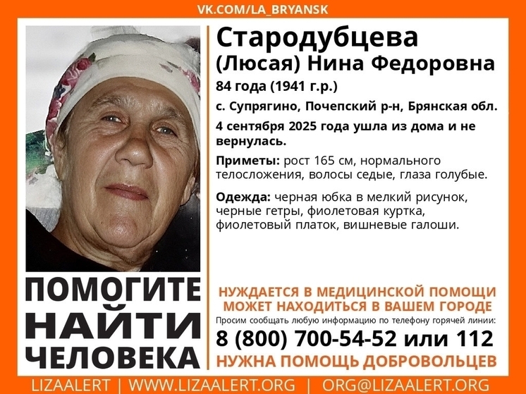 В Брянской области ведутся поиски пропавшей Нины Стародубцевой