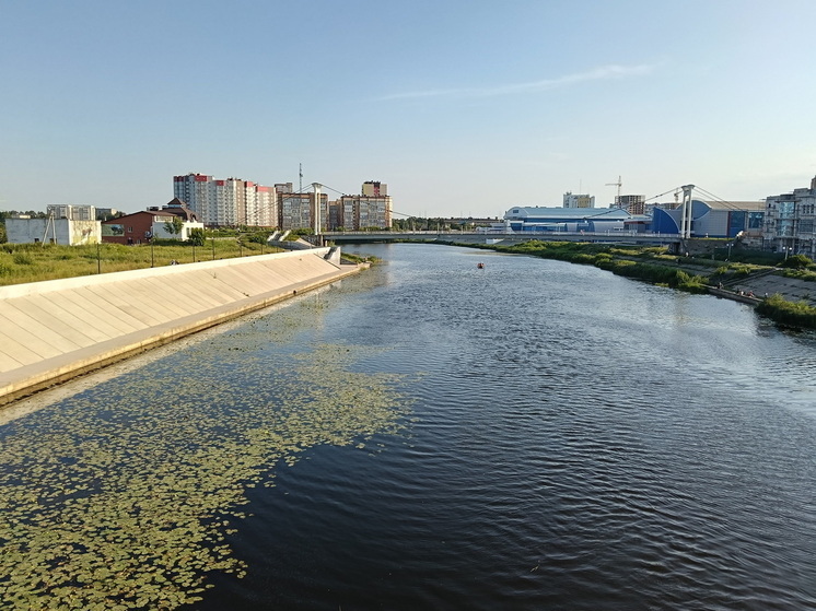 В Йошкар-Оле закончена расчистка русла Малой Кокшаги