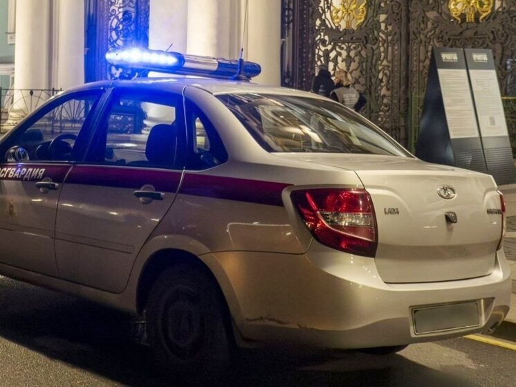 Хмельного москвича скрутили росгвардейцы за попытку пролезть в Эрмитаж без билета