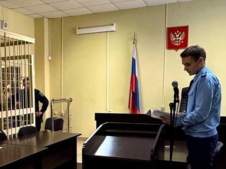 Брянца лишили свободы на 9 лет за избиение до смерти незнакомца